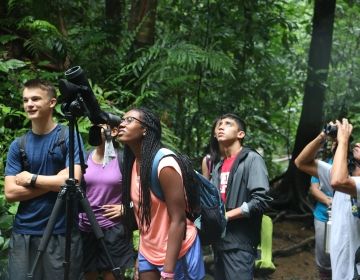 High school students in rain forest
