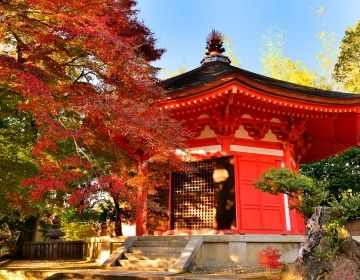 red temple in japan fall seasons