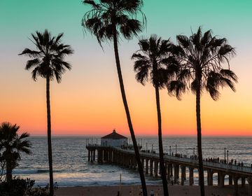 sunset in california with palm trees