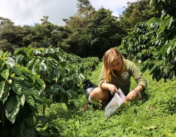 monteverde student collecting samples