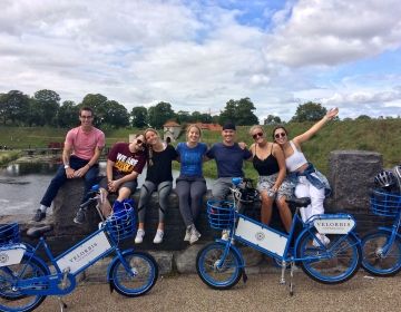 copenhagen summer biking