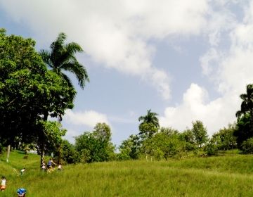 walk in forest dominican republic santiago