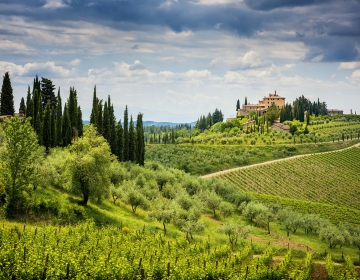 florence countryside