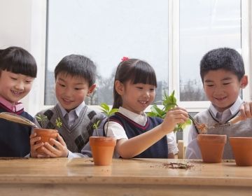 Kids putting plants in pots in classroom