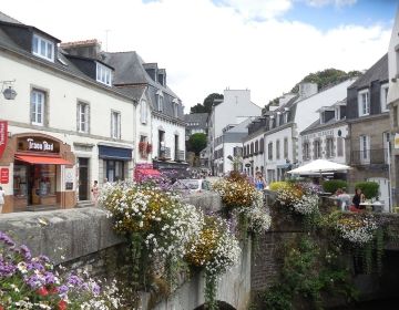 street rennes france houses flowers plants