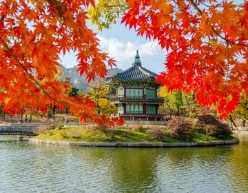 seoul-fall-water