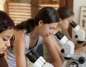 microscope students abroad