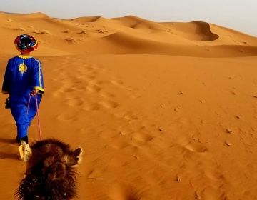 desert of morocco camel tour
