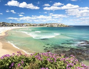 australia coastline beach sunny day