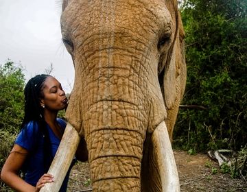 elephant kiss in CapeTown
