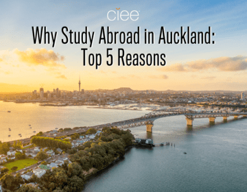 why study in auckland new zealand
