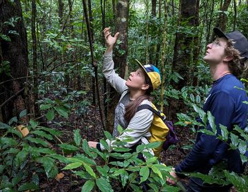 monteverde students forest research