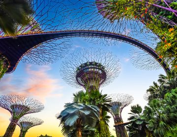 singapore-supertree-grove-sunset