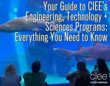 ciee engineering science technology programs new