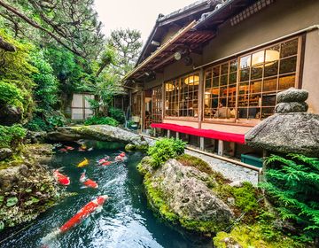 kyoto-stream-koi-house