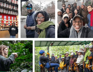 Leading Change in Study Abroad