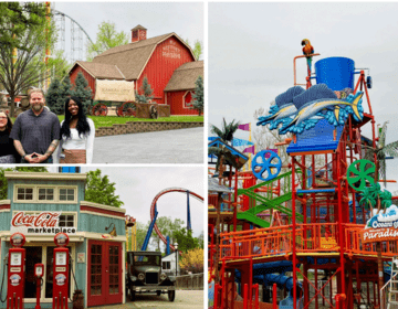 a collage of 3 photos showing different amusement park rides