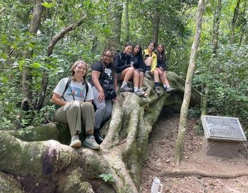 Teens sitting on roots in the forest while studying abroad