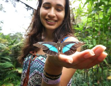 costa-rica_monteverde-butterfly-garden.jpeg