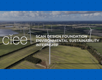 A field of wind turbines with the text "CIEE SCAN Design Foundation Environmental Sustainability Internship"