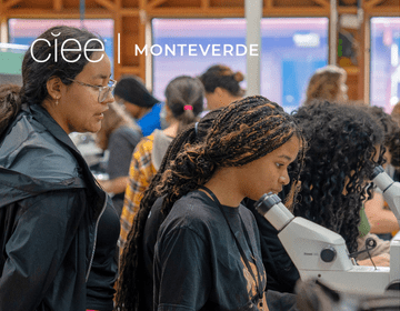CIEE Monteverde