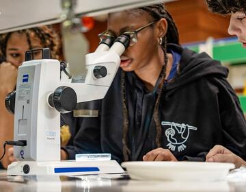monteverde-students-working-microscopes