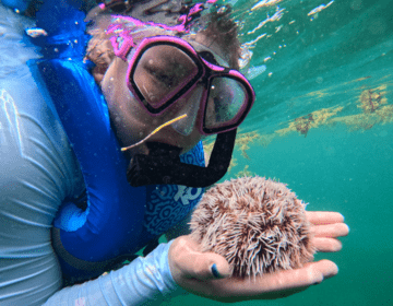 hssa-san-juan-student-snorkeling-with-sea-urchin-module-3.png