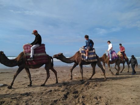 Gap year abroad students on camels in Morocco