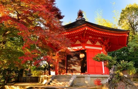 red temple in japan fall seasons