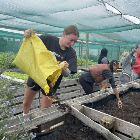 farming in cape town study abraod