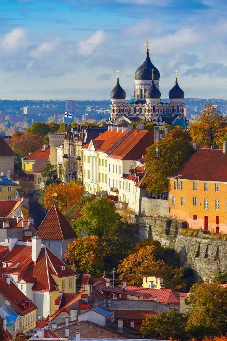 tallinn skyline with onion domes