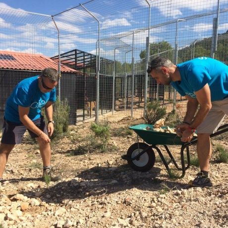 Alicante students volunteering