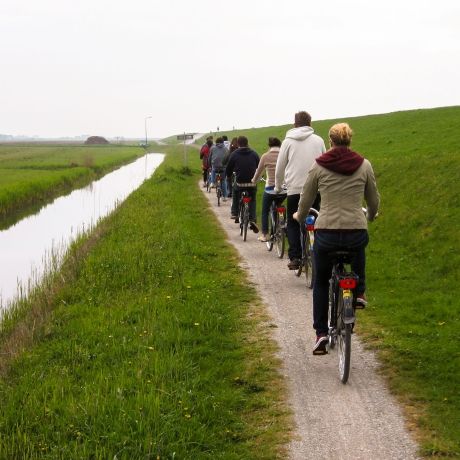 Amsterdam students riding on a bike path