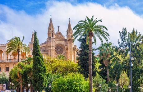 downtown mallorca spain building palm trees