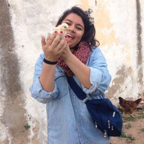 excursion morocco farm student chick