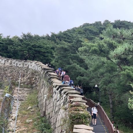 climbing seoul city wall ciee study abroad students