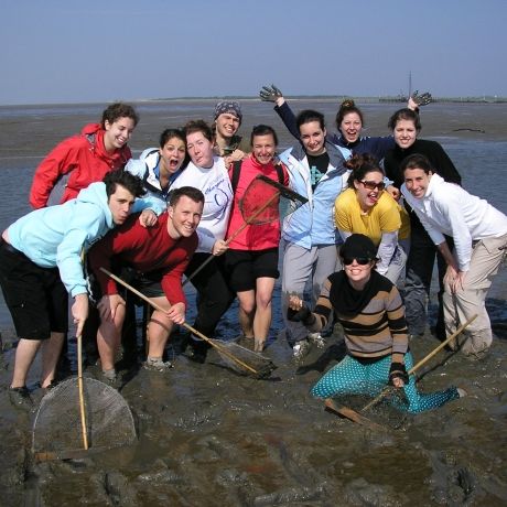 students at ocean beach shelling amsterdam abroad