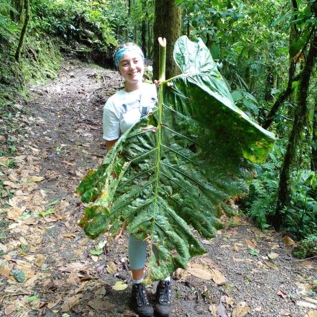 big leaf study abroad student monteverde