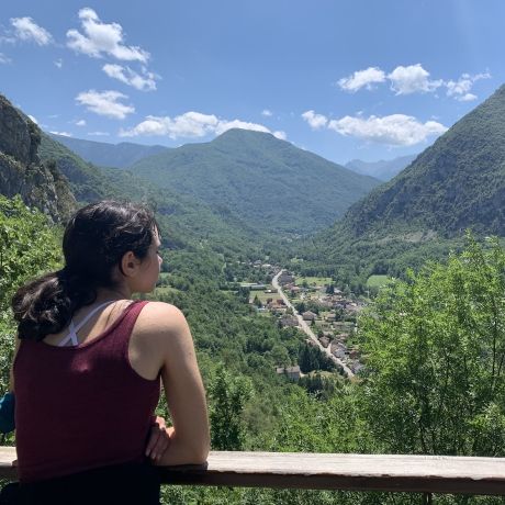 toulouse student overlooking the pyrenees mountains
