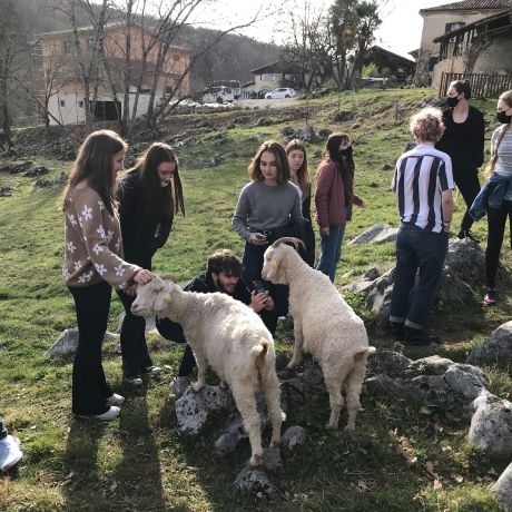 toulouse students feeding goats