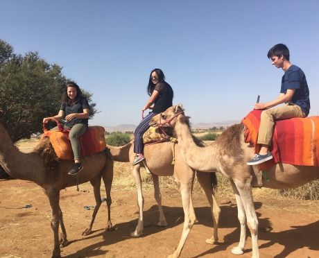 HSSA Rabat Language & Culture Camel