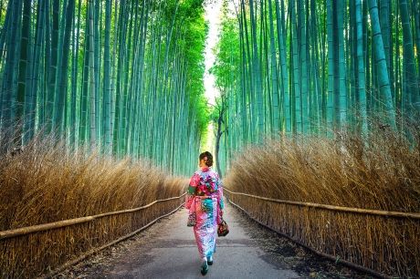 asian woman in bamboo forest