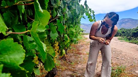 student walking among vineyard in santiago chile