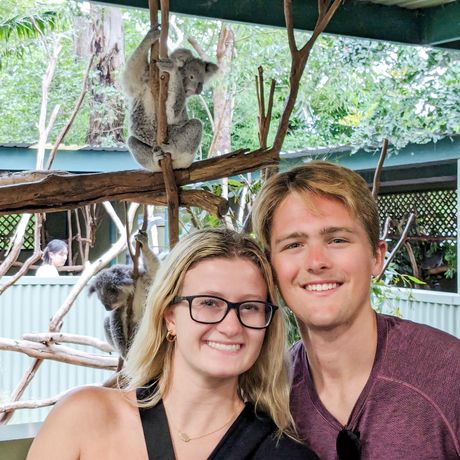 sydney students posing with a koala