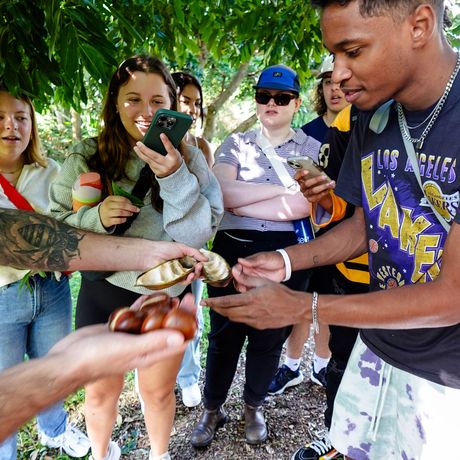 sydney students trying aboriginal food