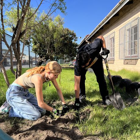 cape-town-students-planting-trees