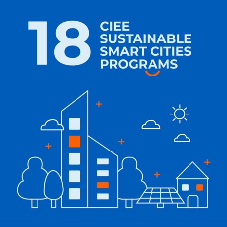 18 Sustainable Smart Cities graphic