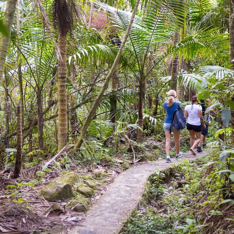 san-juan-el-yunque-hiking