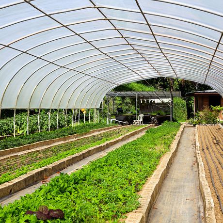 san-juan-farm