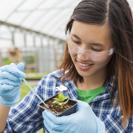 san-juan-girl-seedling